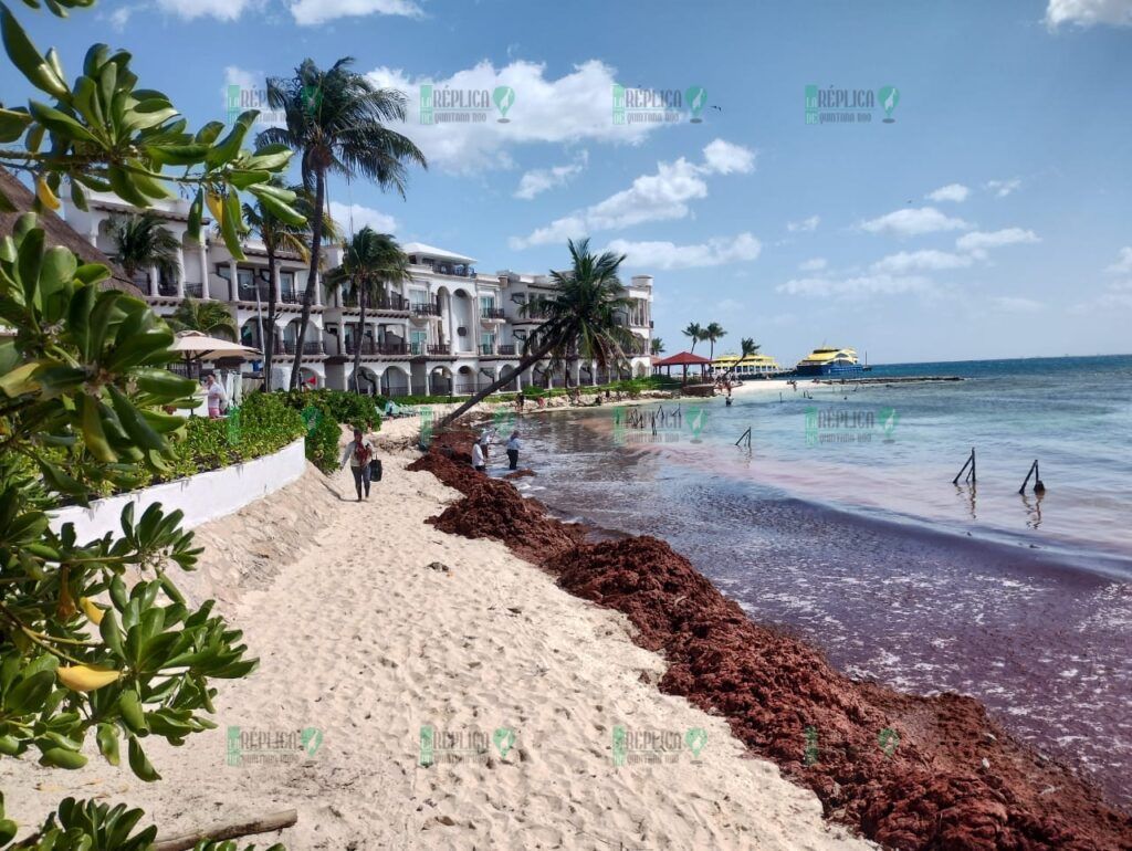 Agobian a pescadores sargazo y vientos de 'Norte', en Playa del Carmen