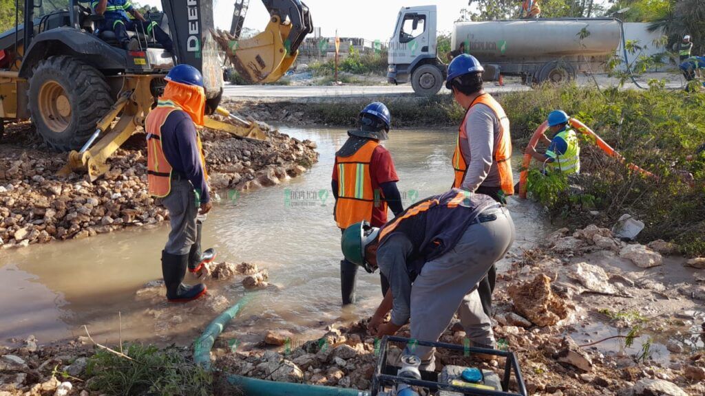 Llevan a la Comisión Interamericana denuncia contra obras del Tren Maya