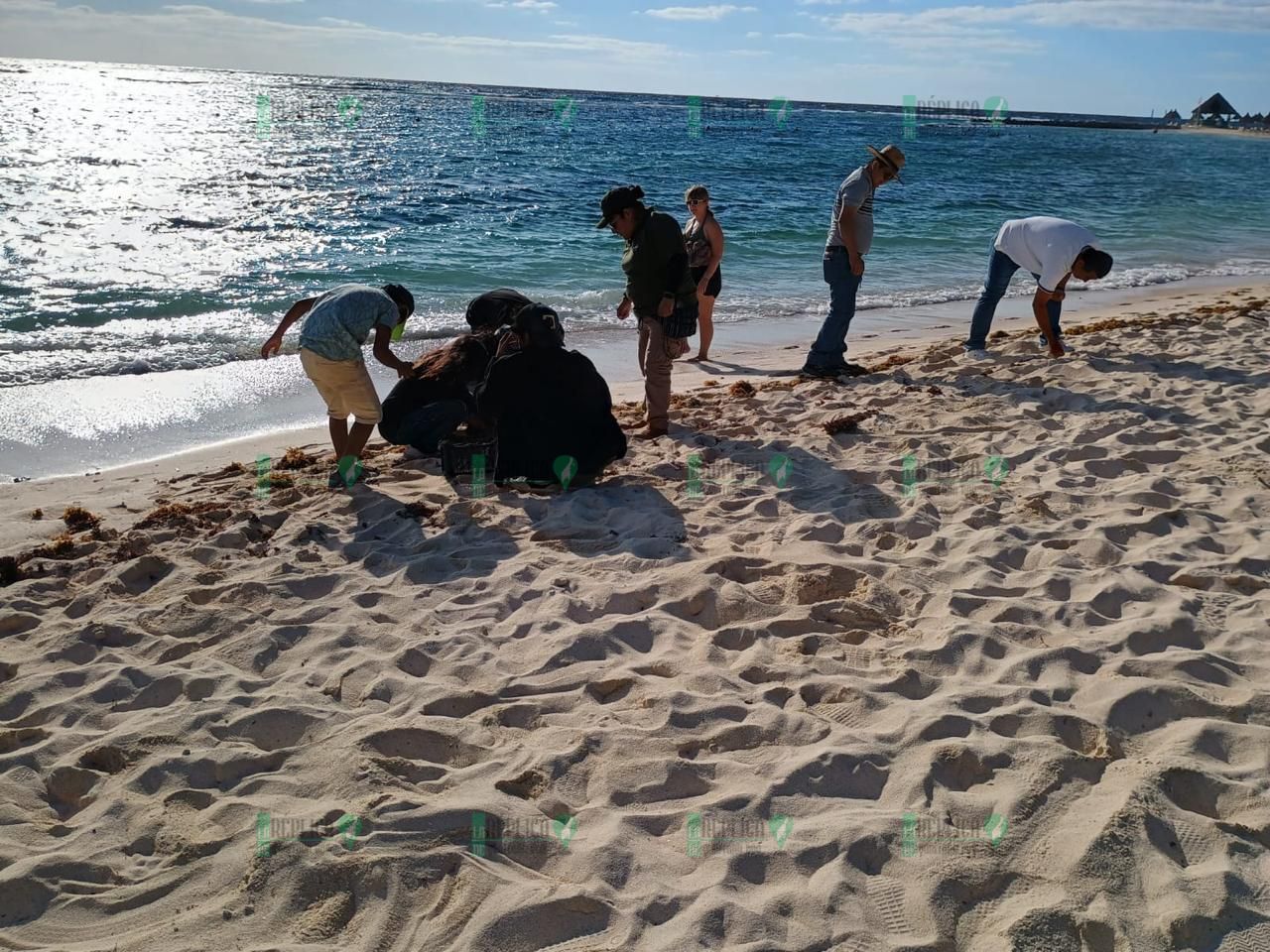 Estudiantes de Secundaria Técnica 23 se educan ambientalmente en Bahía Príncipe Riviera Maya