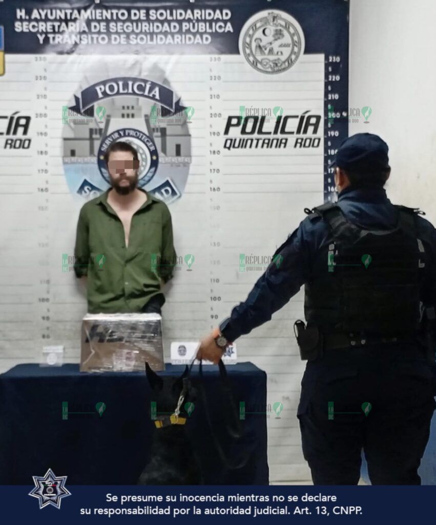 Detienen a persona con grandes paquetes de marihuana