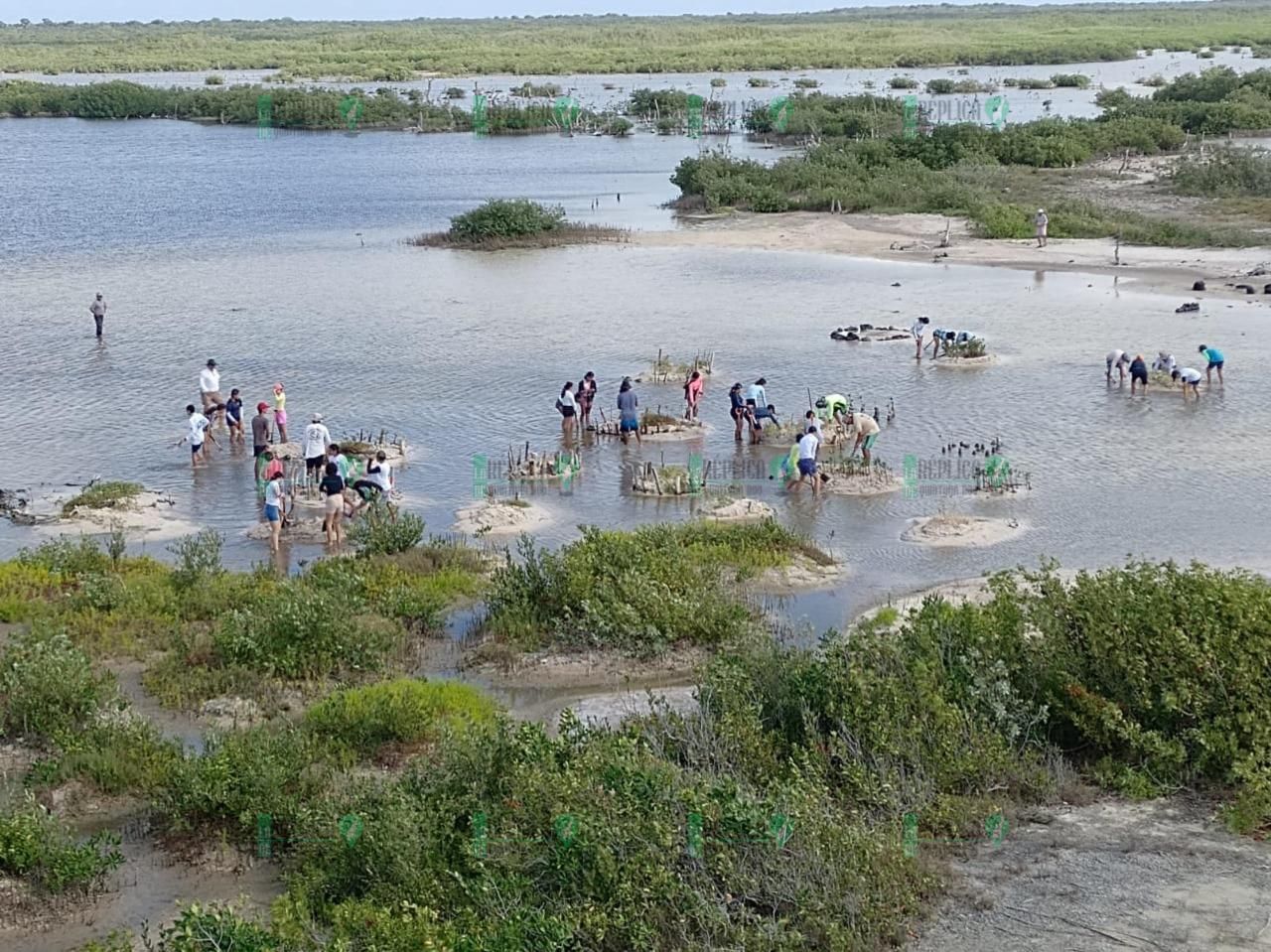 Parque Ecológico Punta Sur es considerado un aula al aire libre para ...