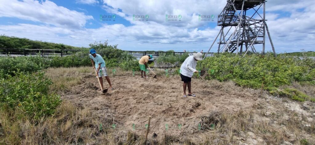 Estudiantes de la Universidad de Chapingo concluyen sus estancias profesionales