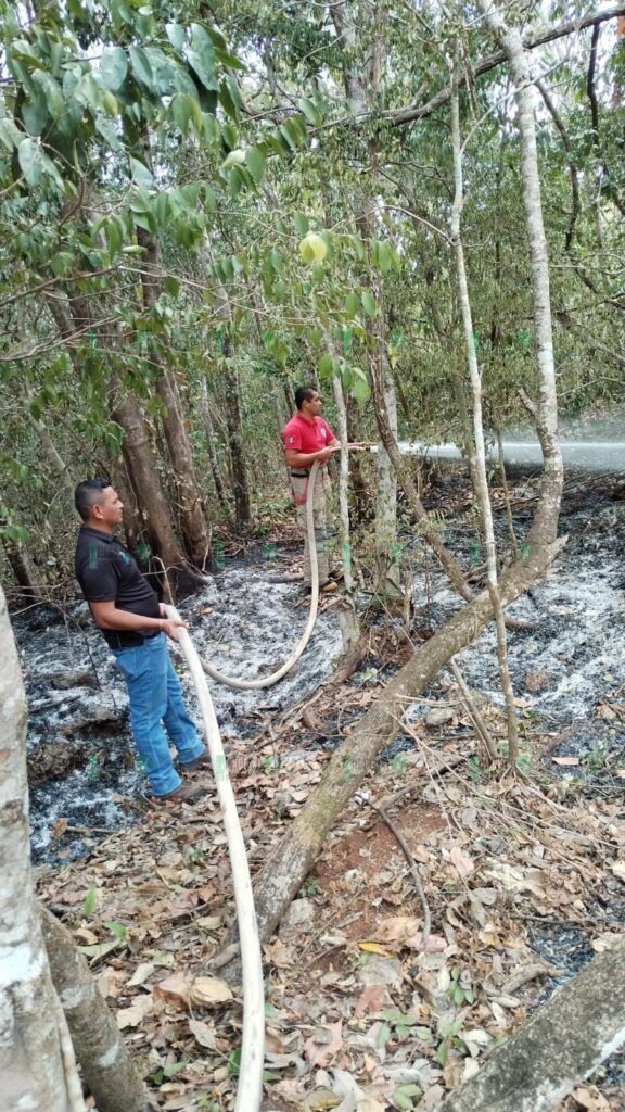 Combaten incendio forestal en Puerto Morelos
