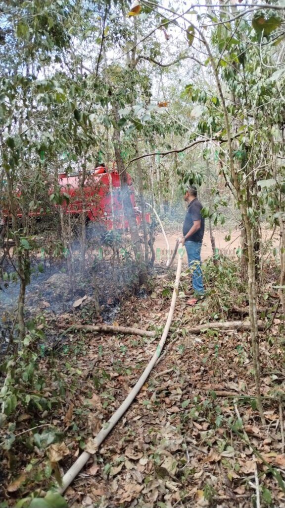 Combaten incendio forestal en Puerto Morelos