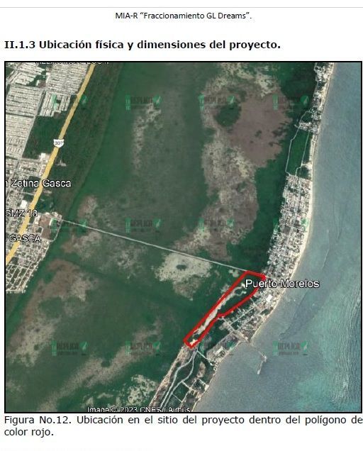 Proponen construir casas en zona de Puerto Morelos denunciada por tala de mangle