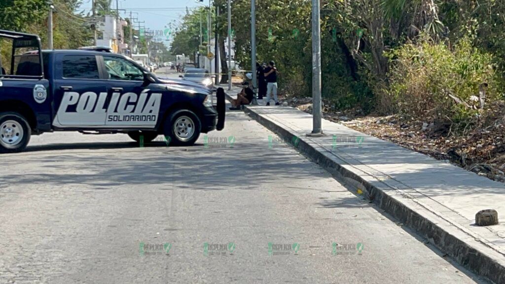 Abandonan un cráneo humano en la colonia Nicte-Há de Playa del Carmen