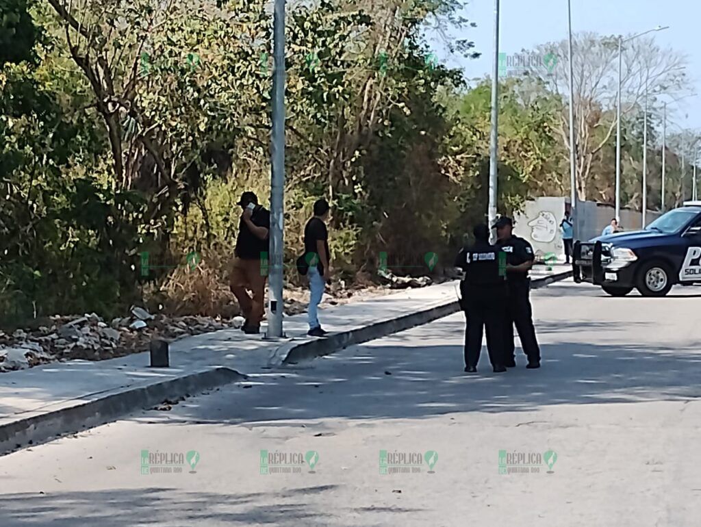 Abandonan un cráneo humano en la colonia Nicte-Há de Playa del Carmen