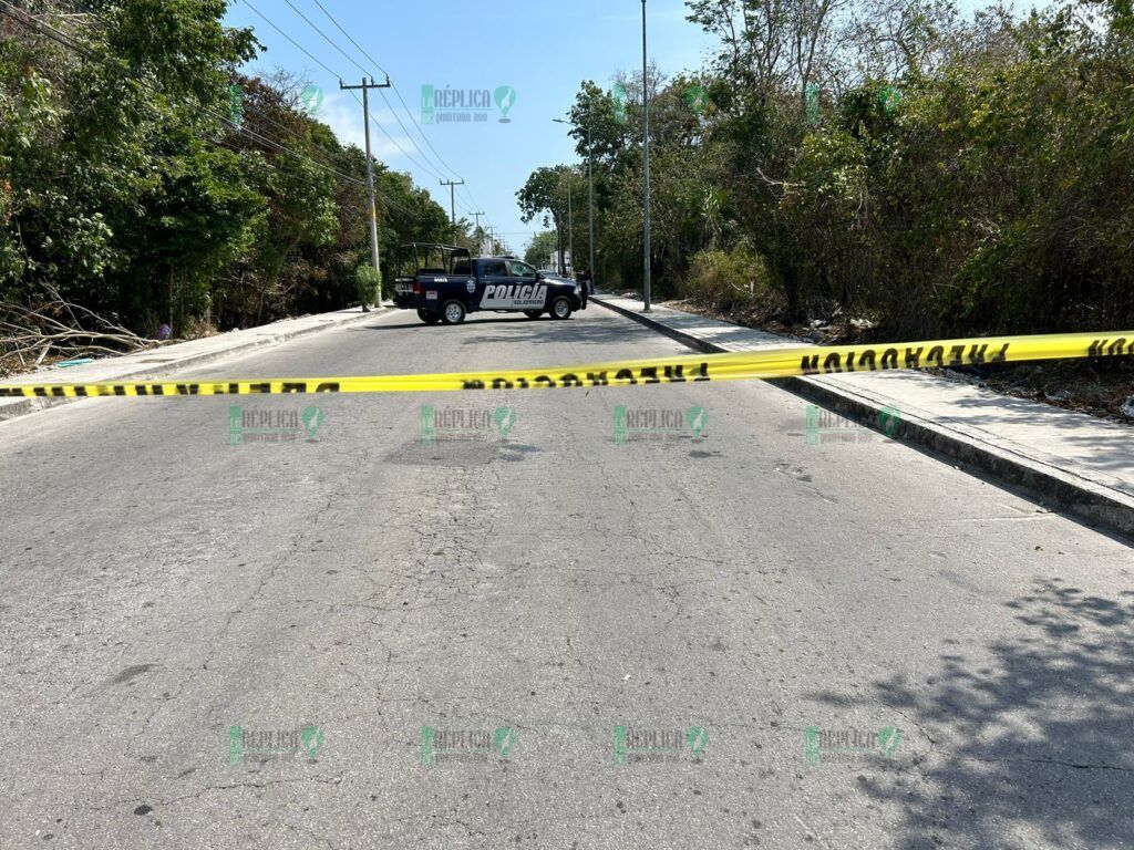 Abandonan un cráneo humano en la colonia Nicte-Há de Playa del Carmen