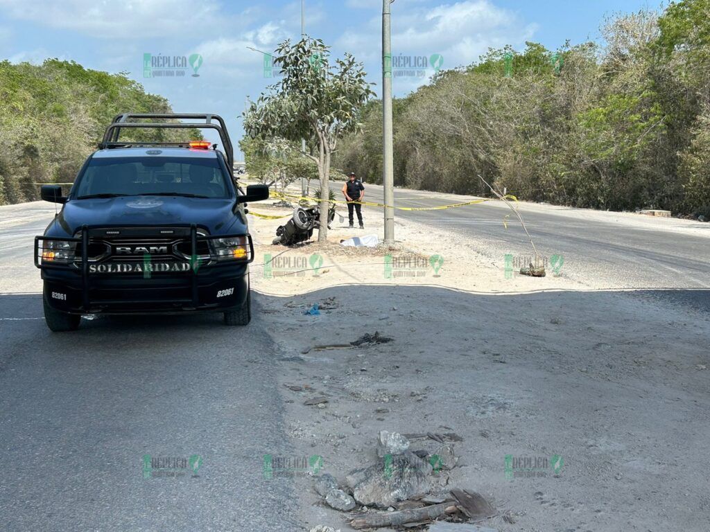 Muere un motociclista tras chocar contra un árbol en la avenida Colosio de Playa del Carmen