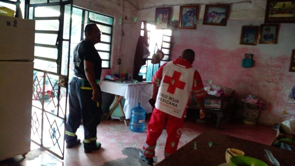 Ataque de abejas en comunidad rural de Othón P. Blanco deja al menos 50 heridos