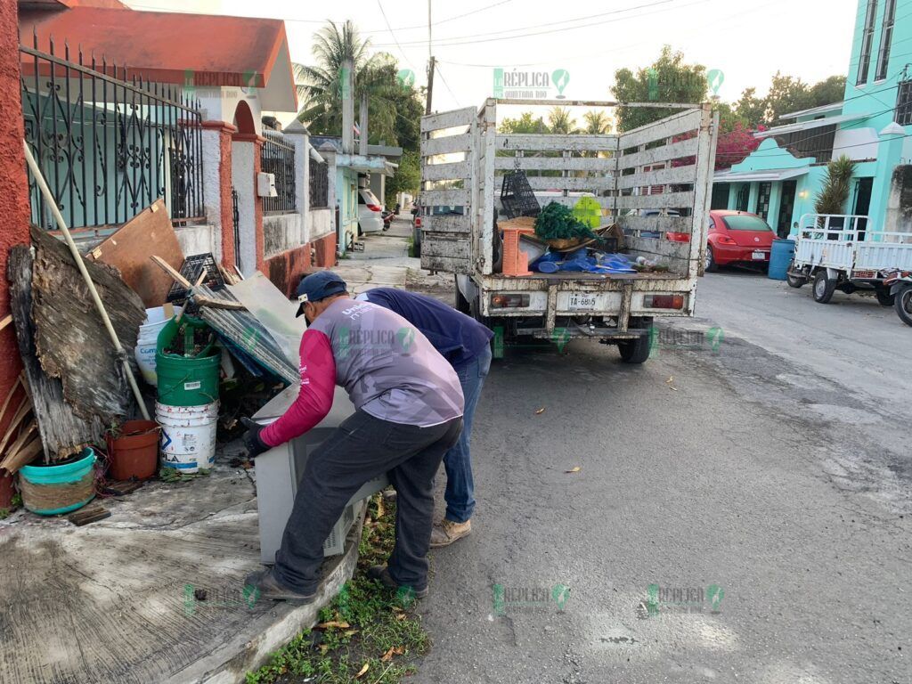 Eliminar criaderos de moscos corta la cadena de transmisión del dengue