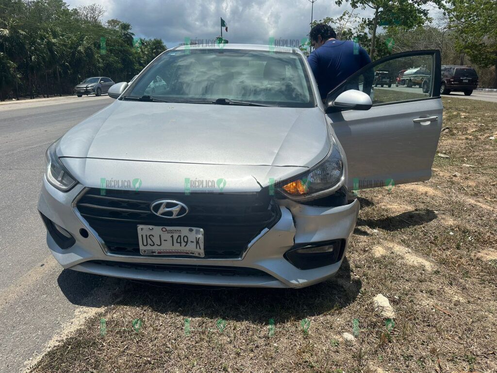 Muere venado atropellado en la carretera federal de Playa del Carmen, frente a parque Xcaret