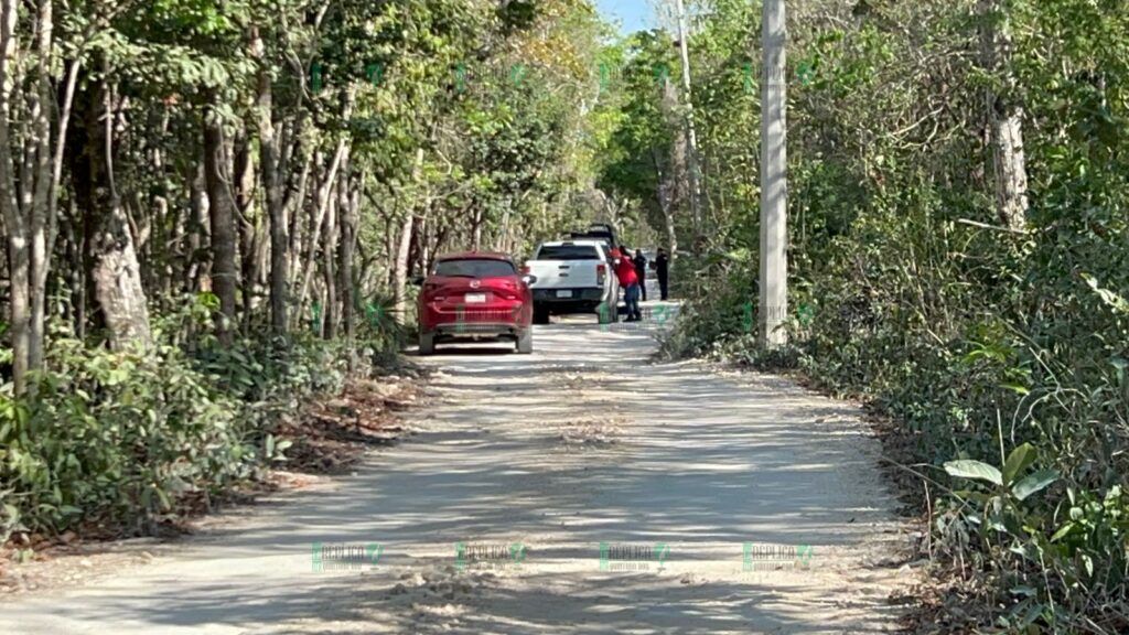 Hallan a 2 taxistas ejecutados en rancho de Solidaridad