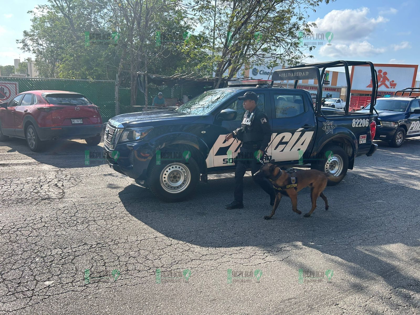 Ataca sicario una obra en construcción en Playa del Carmen y lo asesinan; hay dos heridos