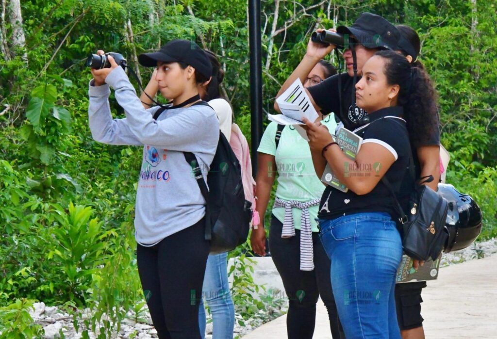 La Fundación de Parques y Museos de Cozumel, invita a la comunidad a la observación de aves en Punta Sur