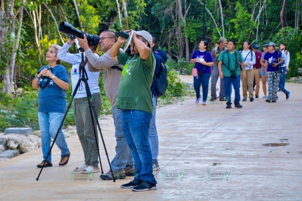 La Fundación de Parques y Museos de Cozumel, invita a la comunidad a la observación de aves en Punta Sur