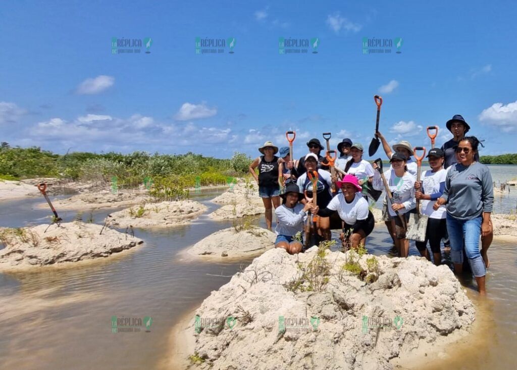 Estudiantes de la UQROO realizan visita de interpretación y restauración del ecosistema de manglar en el Parque Punta Sur