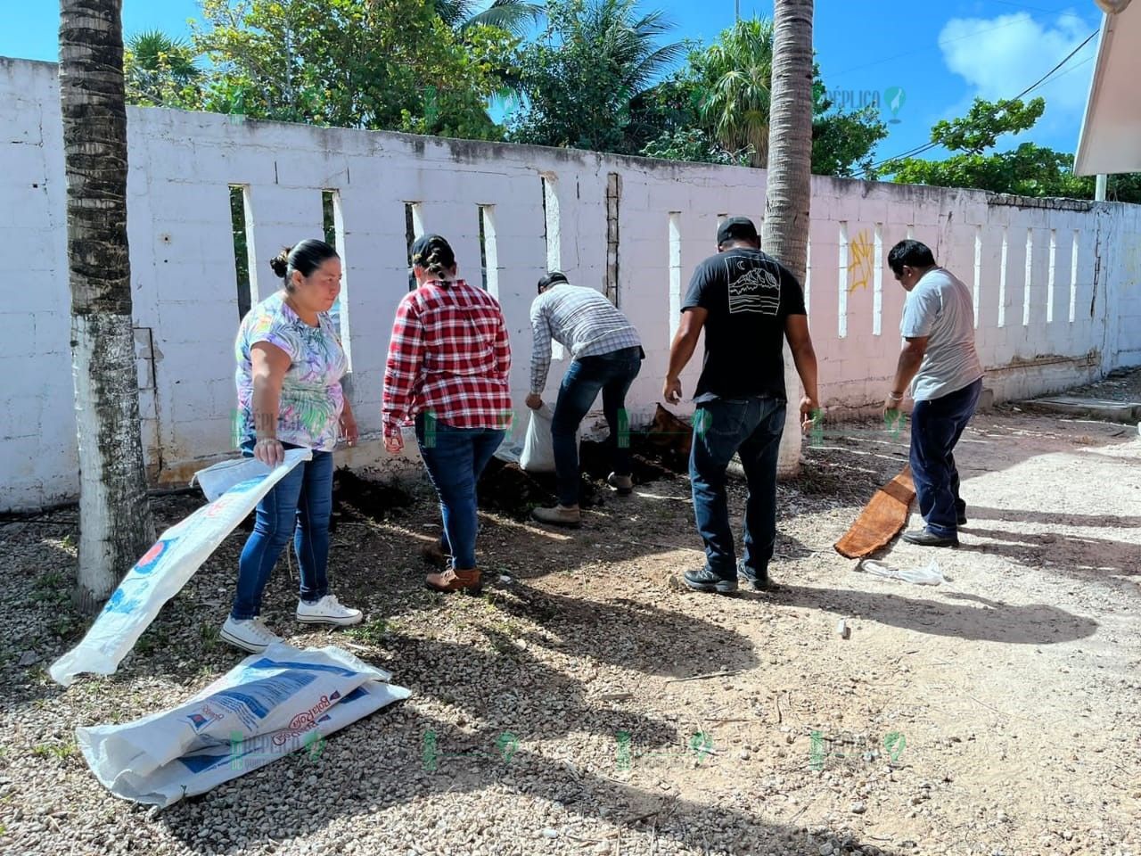 Huertos escolares en Puerto Morelos