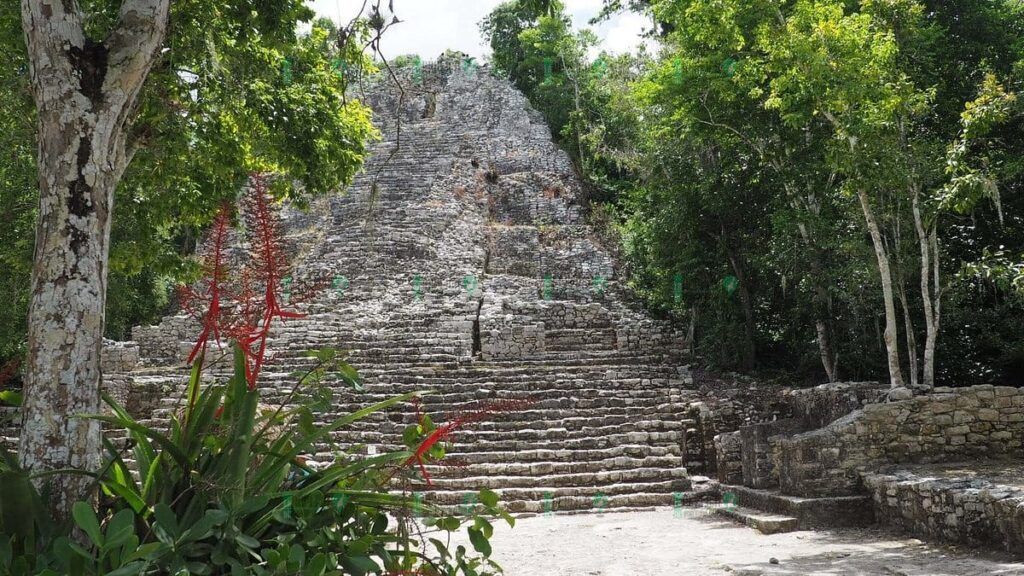 Tulum y Cobá, entre las 7 mejores ruinas mayas para visitar en México, según National Geographic