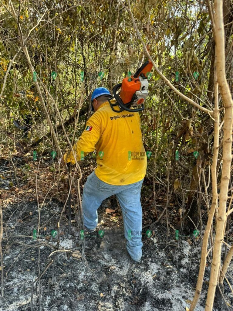 Combaten incendio forestal al suroeste de Puerto Morelos