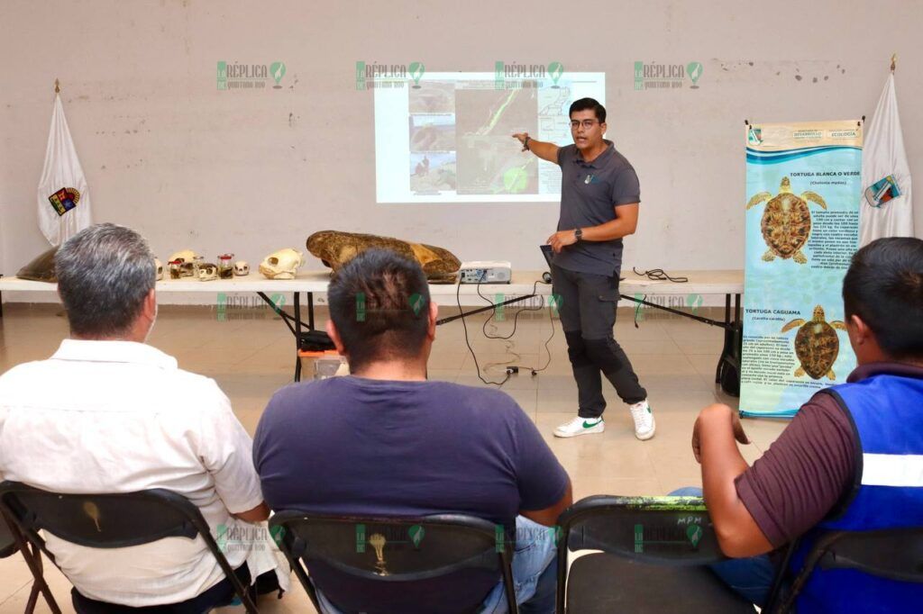 Imparten plática sobre protección a la tortuga marina en Puerto Morelos