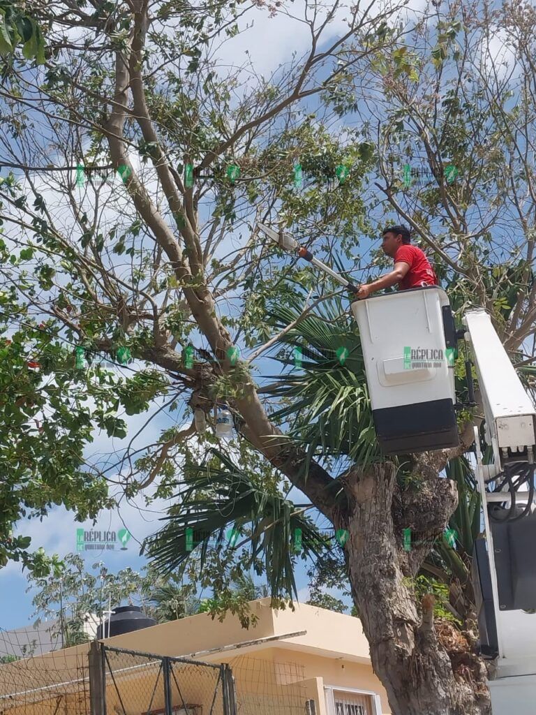 Gobierno de Puerto Morelos emprende acciones para hacer frente a la temporada de lluvias