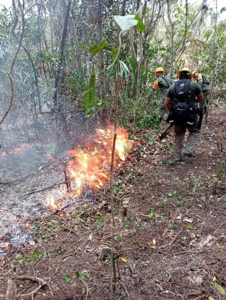 Bomberos realizan incesantes trabajos para sofocar incendio en Villas del Sol