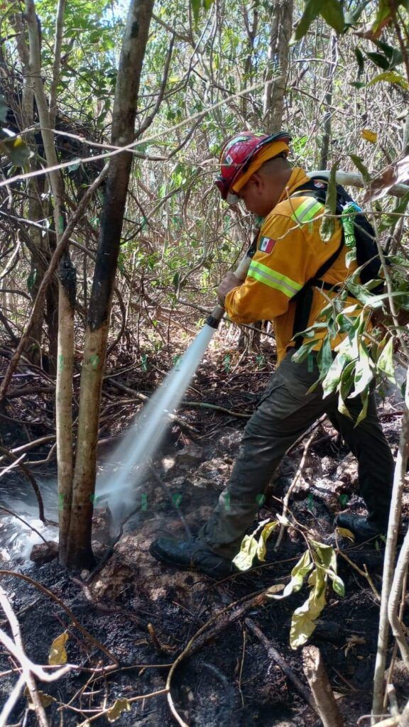 Bomberos realizan incesantes trabajos para sofocar incendio en Villas del Sol