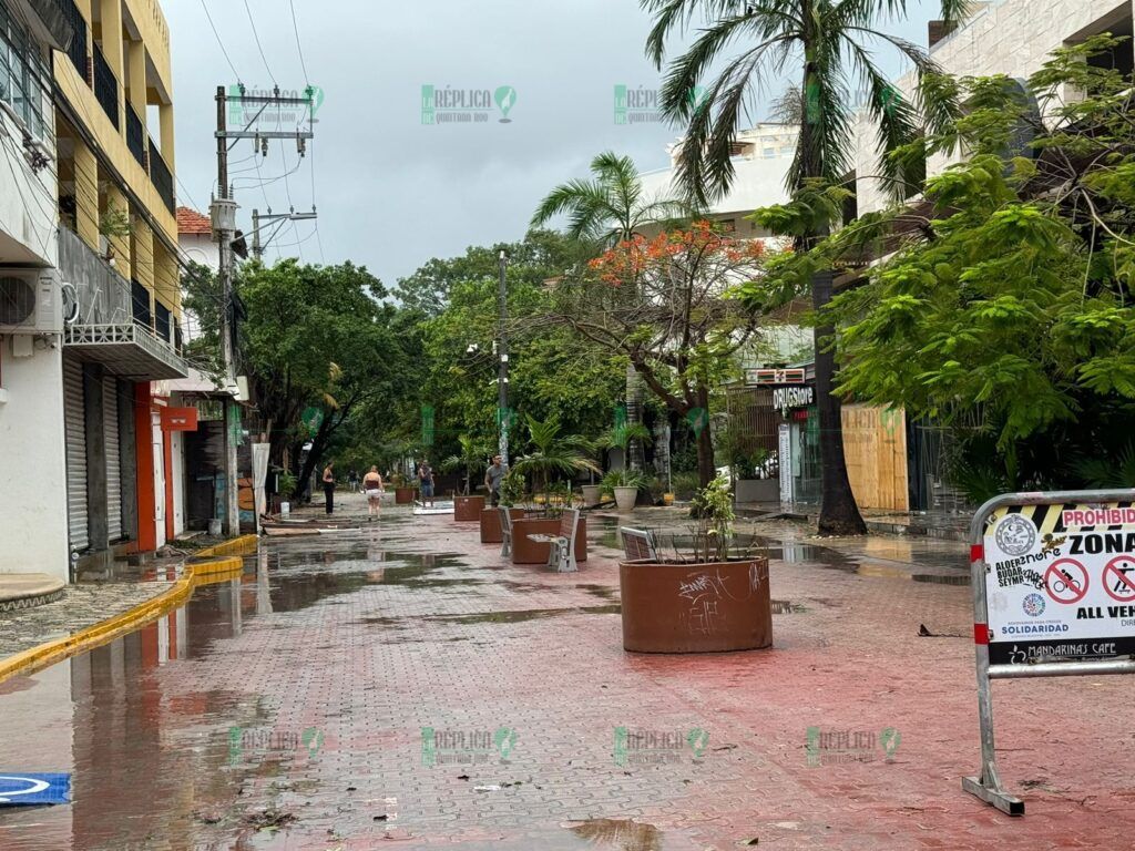 Sin electricidad, múltiples colonias de Playa del Carmen