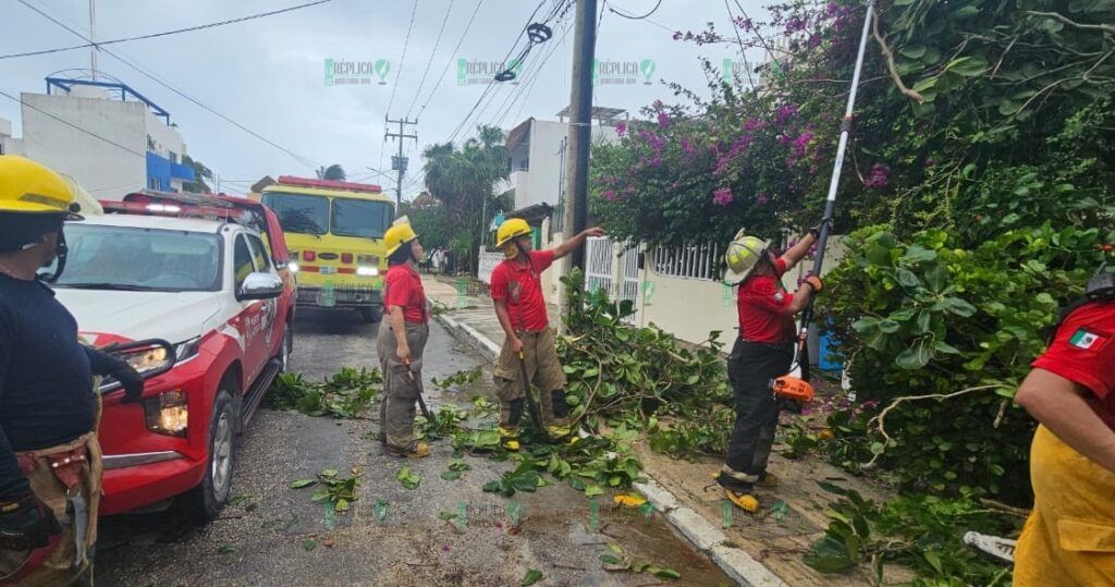 Reporta Blanca Merari saldo blanco en Puerto Morelos luego del paso del Huracán “Beryl”