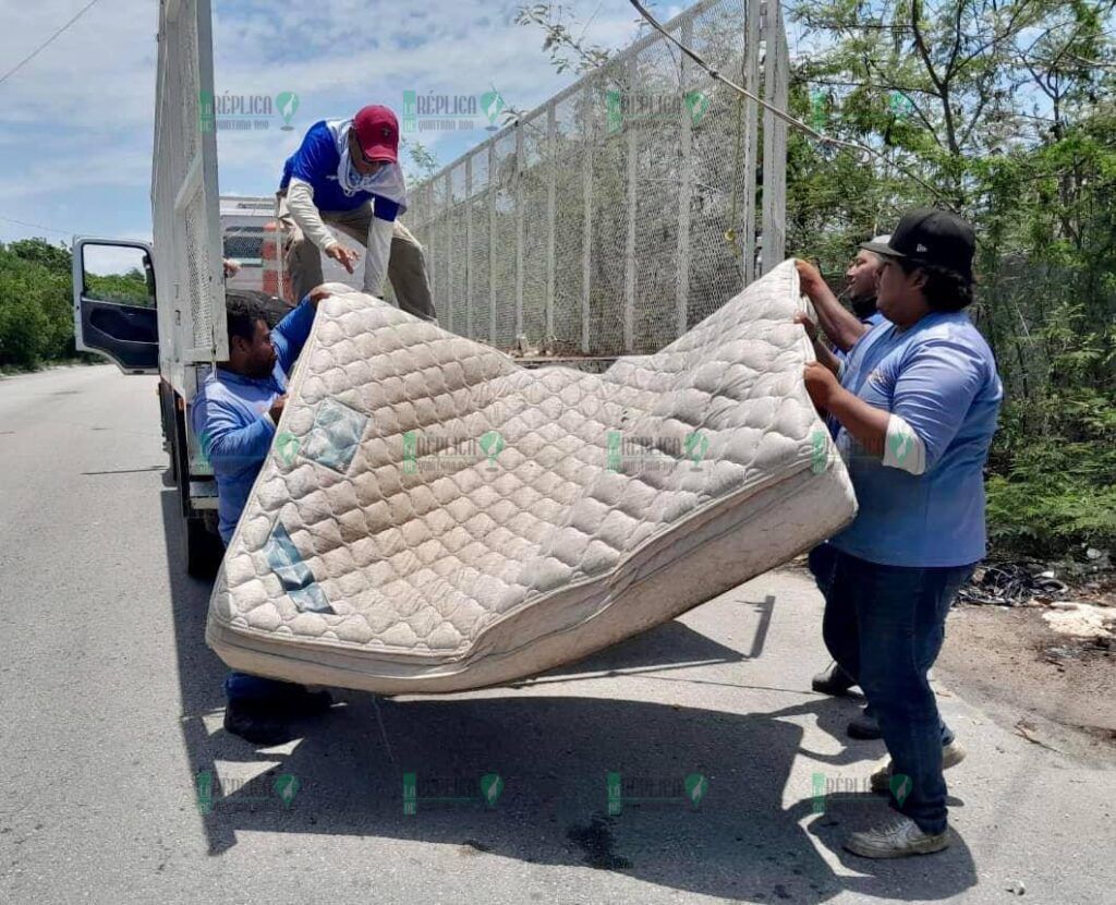 Solidaridad toma medidas de precaución contra el dengue