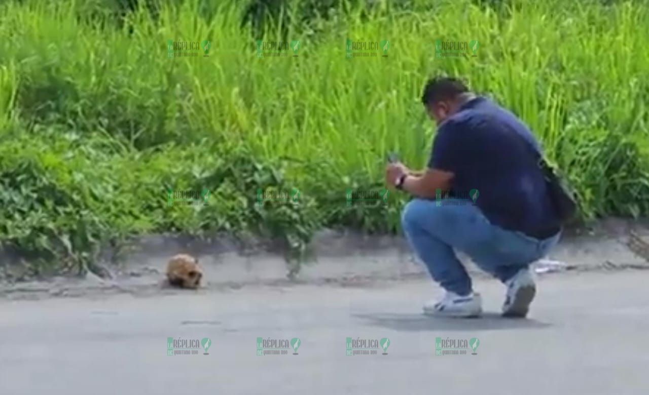 Localizan cráneo humano en la zona industrial de Cozumel