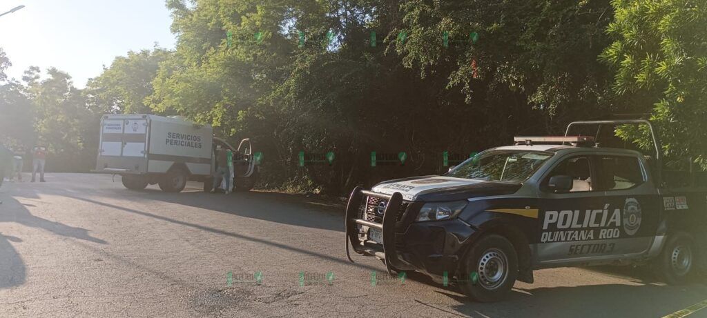 Hallan un cuerpo sin vida con huellas de tortura, en el fraccionamiento Corales de Cancún