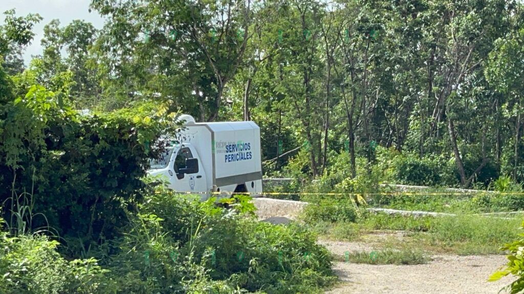 Hallan un cuerpo sin vida en un área verde de la colonia Santa Cecilia de Cancún