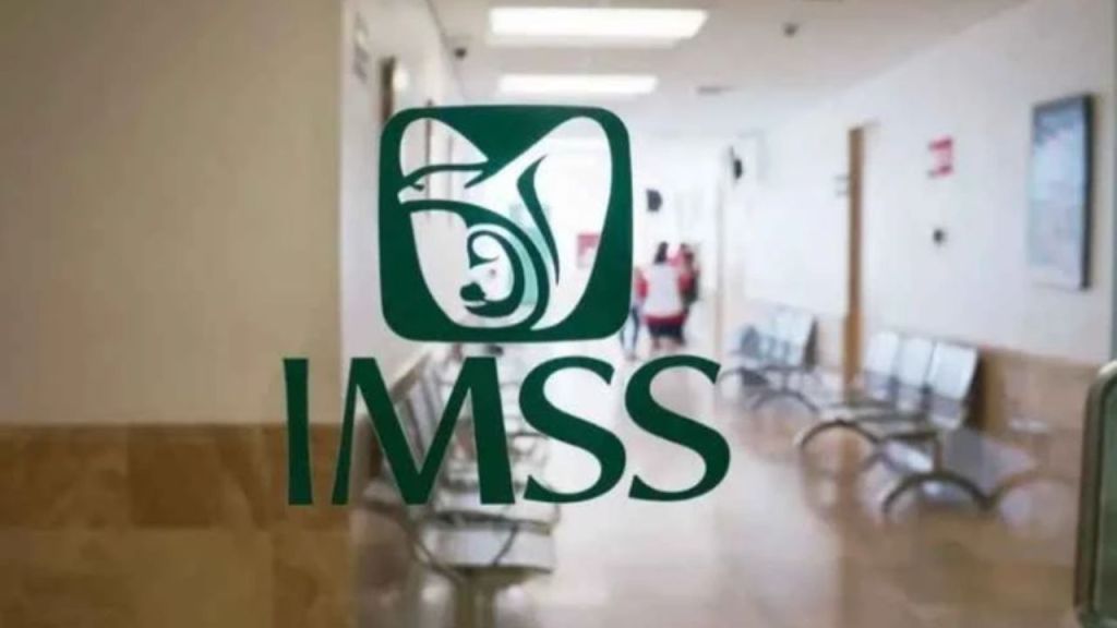 IMSS: Cómo pueden afiliarse ‘nenis’ y Freelance al seguro