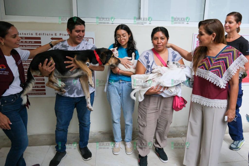 Mara Lezama promueve campaña de esterilización gratuita para perros y gatos en Cancún
