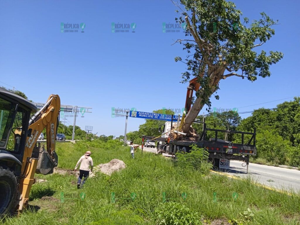 Restauran y rehabilitan camellón de la carretera federal