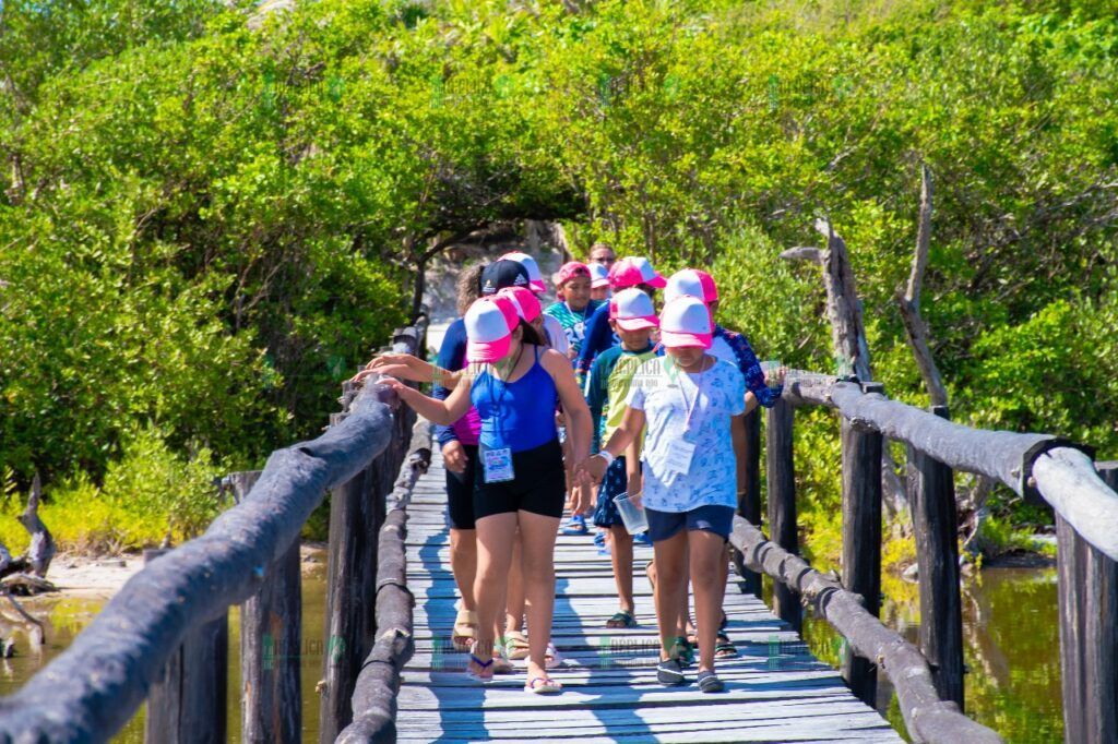 El parque Ecoturístico Punta Sur recibió a 404 participantes de cursos de verano estas vacaciones