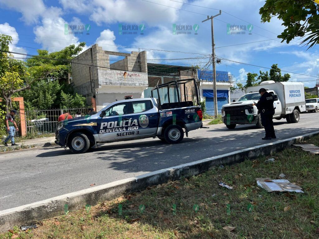 Localizan un cuerpo apuñalado en la Región 240 de Cancún 
