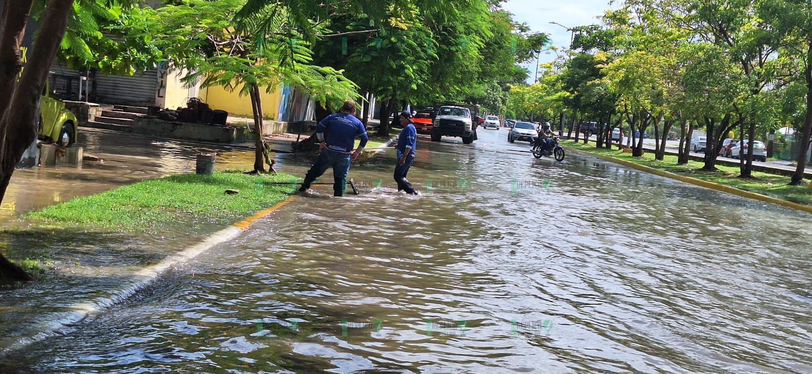 Playa del Carmen, Solidaridad a 29 de agosto de 2024.- En temporadas de lluvias, el gobierno municipal que encabeza la presidenta Lili Campos, a través de la Secretaría de Servicios Públicos refuerzo su ya permanente trabajo de limpieza de las alcantarillas y pozos de absorción para evitar encharcamientos. En entrevista, el secretario de Servicios Públicos, Benny Millán, manifestó que las cuadrillas de trabajo realizan la limpieza permanente de alcantarillas y pozos de absorción, “cuando nos cae una lluvia intempestiva, participan todas las direcciones y nos dividimos la ciudad para atender los reportes y ver de qué zonas el agua está obstruyendo y actuar de manera inmediata”. Benny Millán informó que, independientemente si llueva o no, el programa de limpieza es permanente y se limpian los más de 5 mil pozos que hay en la ciudad, dijo también que afortunadamente no hubo zonas críticas o de gravedad, sin embargo, las zonas donde se vio afectadas fueron colonia Centro, Toscana, por la carretera federal y en Villamar. De igual manera, elementos de la Secretaría de Protección Civil, Prevención de Riesgos y Bomberos, participaron en distintos operativos por la ciudad para realizar el desazolve de pozos para así reducir riesgos derivados de la lluvia registrada por la mañana.