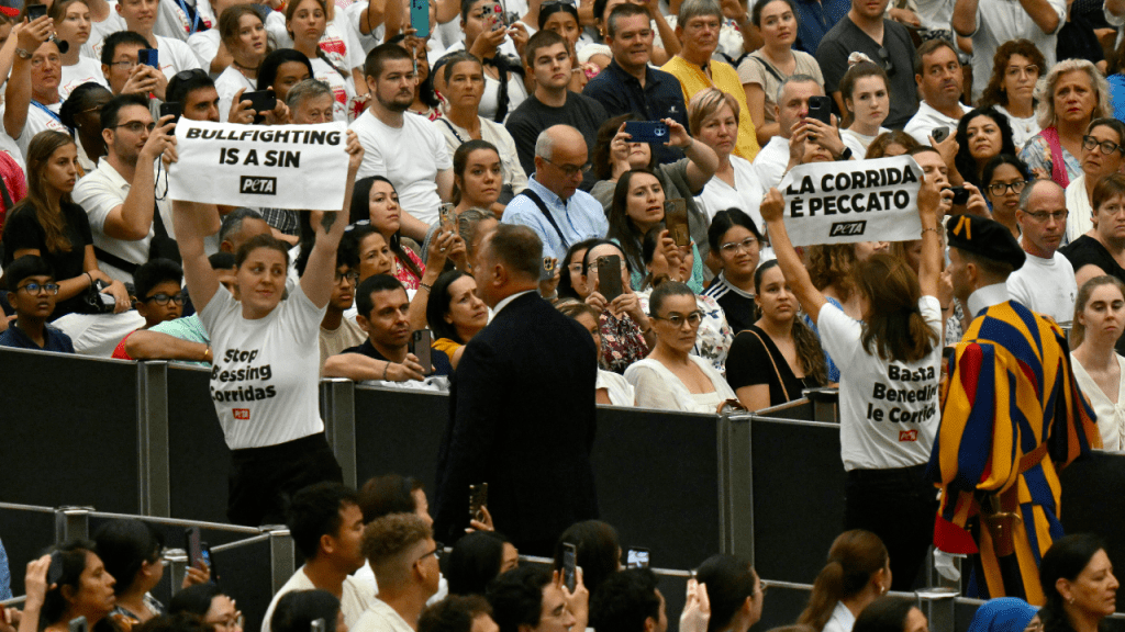 Activistas contra las corridas de toros protestan en audiencia del papa en el Vaticano