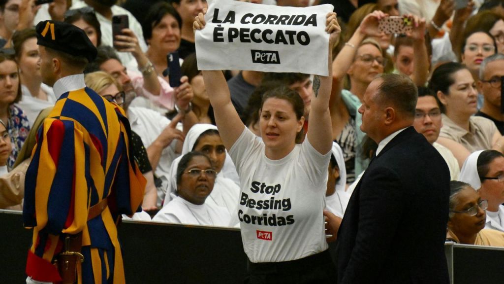 Activistas por los derechos de los animales interrumpieron la audiencia semanal del Papa Francisco en el Vaticano