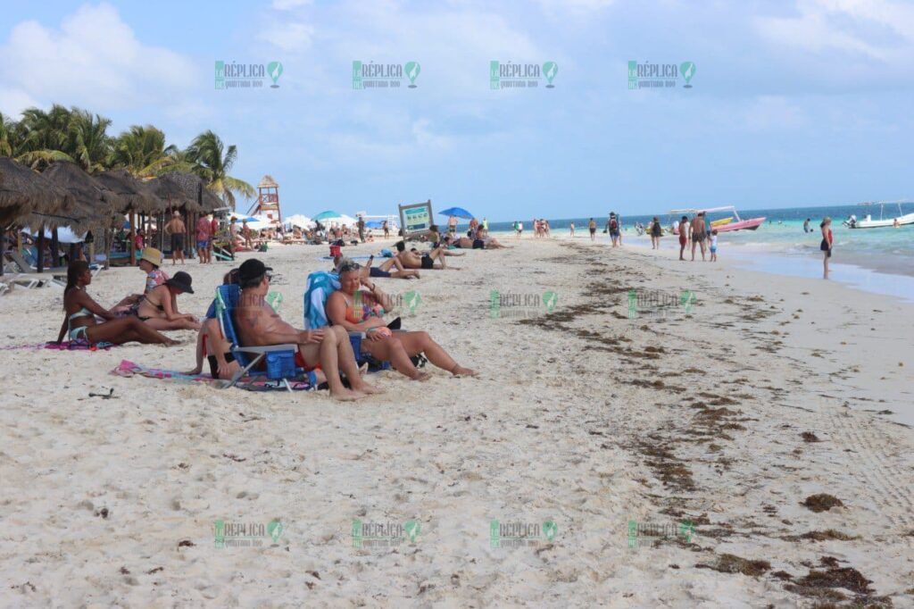 Reportan bajo recale de sargazo en Puerto Morelos