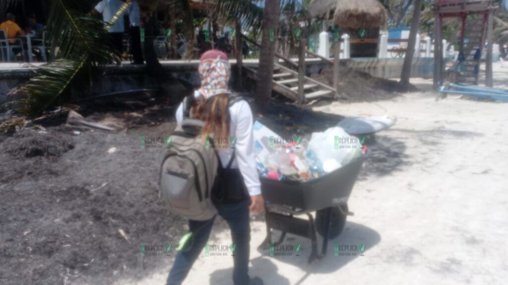 Reportan bajo recale de sargazo en Puerto Morelos