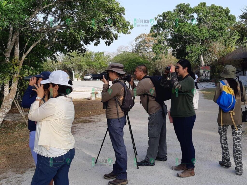 La Fundación de Parques y Museos se suma al XVI Festival de las Aves Isla Cozumel