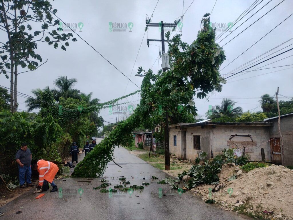 Pese a intensa lluvia y fuertes vientos provocados por “Helene”, reporta Puerto Morelos saldo blanco