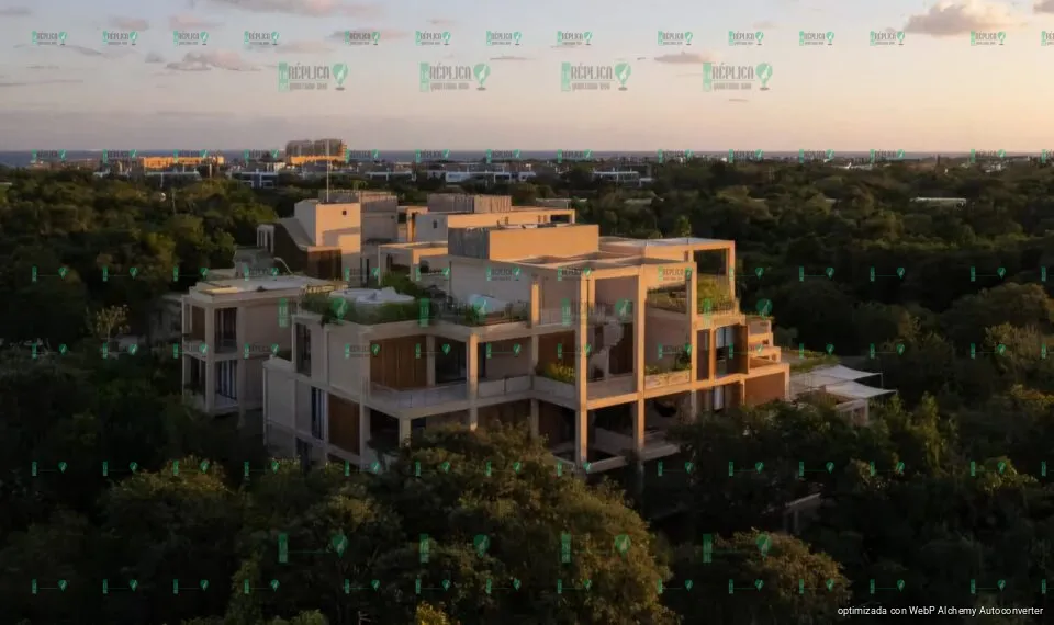 Se reactiva industria de la construcción en Playa del Carmen
