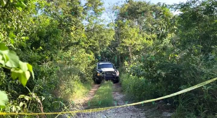 Encuentran un cuerpo sin vida en la Región 242 de Cancún