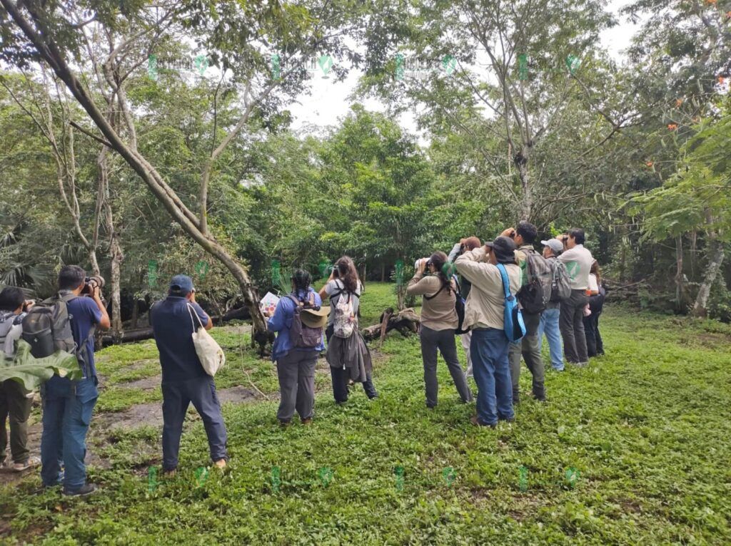 La Fundación de Parques y Museos fue sede de las observaciones de avifauna en el XVI Festival de las Aves Isla Cozumel