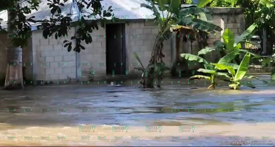 La comunidad de Ucum, ubicada a 22 kilómetros de Chetumal, enfrenta una emergencia